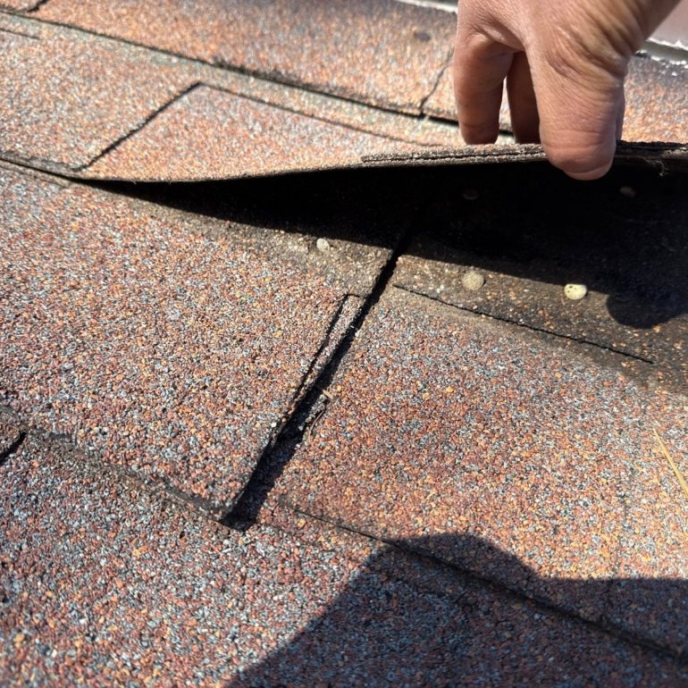 algae on roof