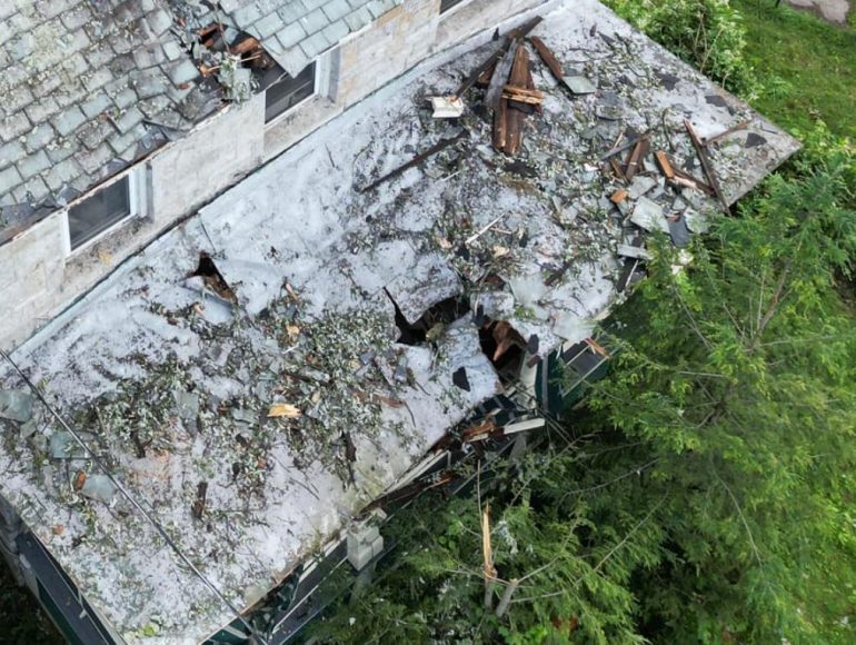 tree damage
