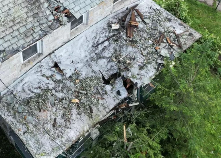 tree damage