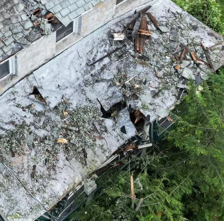 tree damage
