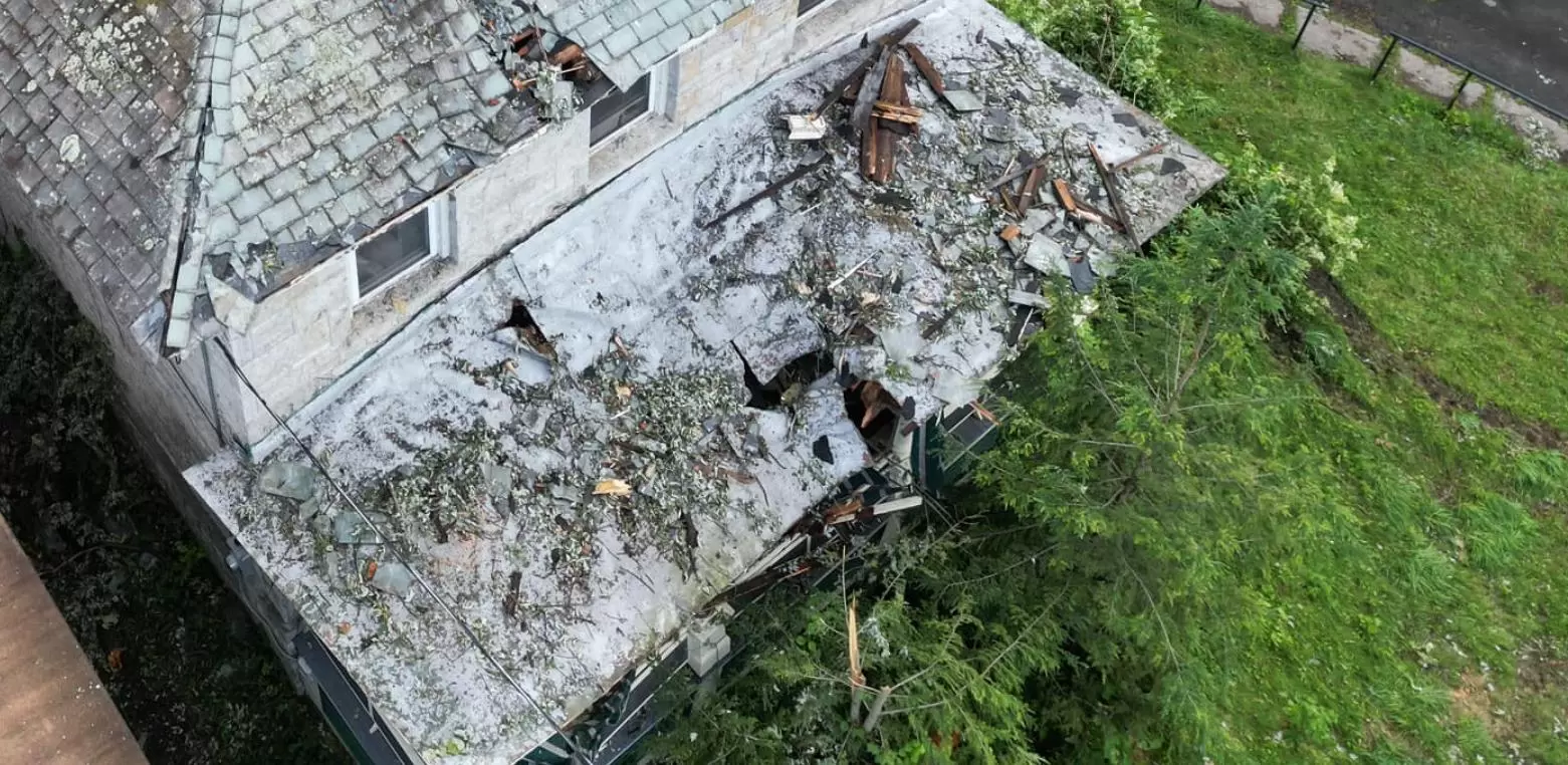 tree damage