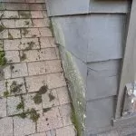 Why Moss on Your Roof Is More Dangerous Than You Think Why Moss on Your Roof Is More Dangerous Than You Think min