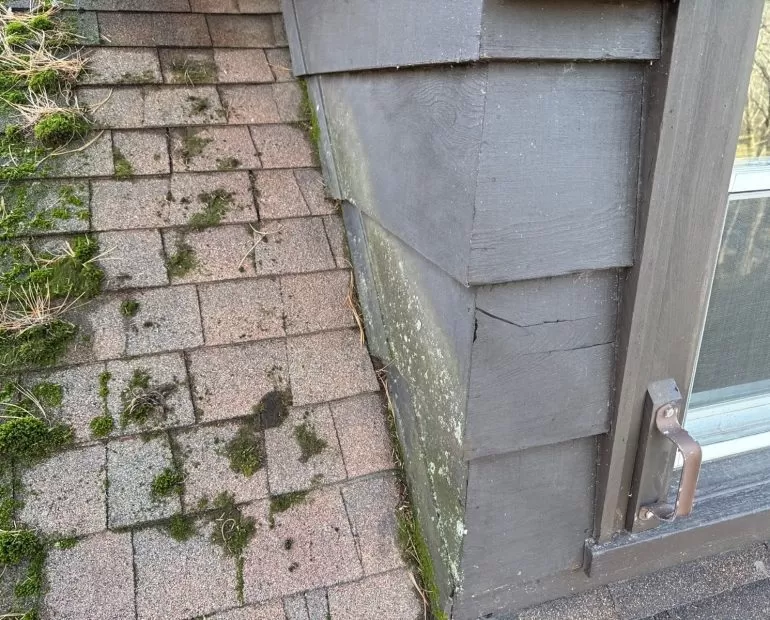 Why Moss on Your Roof Is More Dangerous Than You Think Why Moss on Your Roof Is More Dangerous Than You Think min